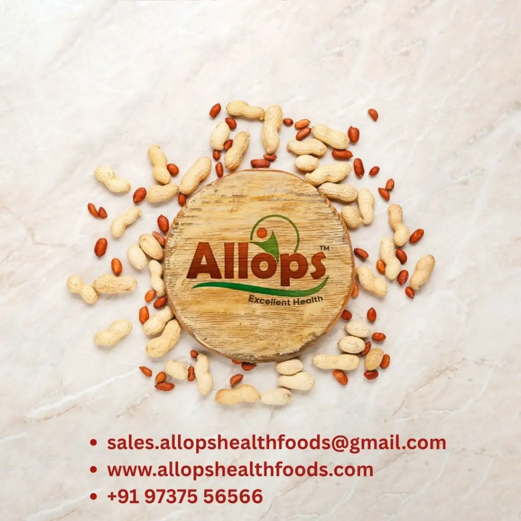 Chocolate Peanut Butter 500GM - Image 4